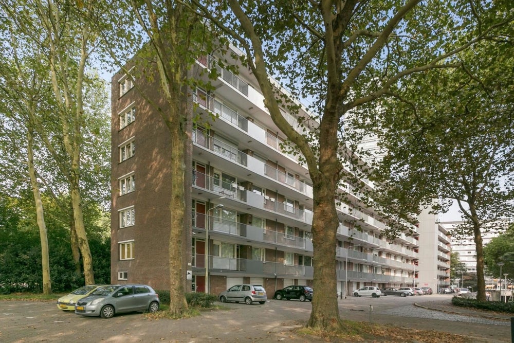 Cederstraat 61