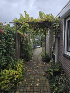 Van Meterenstraat