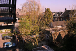 Langestraat 6
