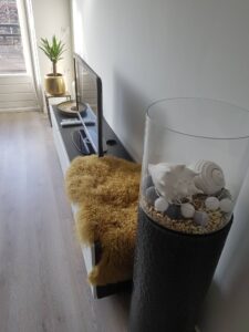 Piusplein 62