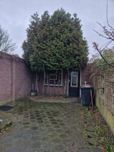 Hasseltstraat 260