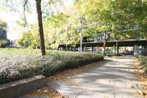 Primus van Gilspark 28